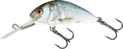 Salmo Hornet Sinking - 4.0cm -Spro Verkoop 20161012084348 e9970608