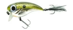 Spro Fat Iris 60 - 6,0cm -Spro Verkoop 4867 1014 001 p