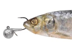 Spro HD Fireball -Spro Verkoop 4962 200 25 003 p