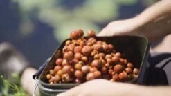 Strategy Grade Bait Bucket 17 Ltr 3 Strategy Grade Bait Bucket 17 Ltr -Spro Verkoop 6539 308 309 003 2