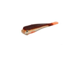 Rozemeijer Urban Sense Micro Tail 4cm -Spro Verkoop 66733 micro tail bloody minnow