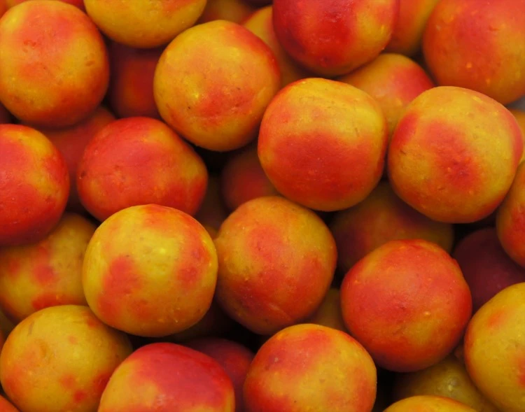 Martin SB Classic Range - Tutti Frutti Boilies 1kg 2 Martin SB Classic Range - Tutti Frutti Boilies 1kg - Afbeelding 2