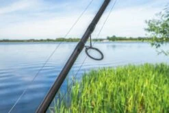 Avid Carp Avid Exodus Pro Rods 10ft 3.00lb -Spro Verkoop a0460019 25 exodus pro ls 05 1