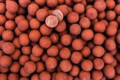 Proline Garlic & Robin Red Boilies 1kg 5 Proline Garlic & Robin Red Boilies 1kg -Spro Verkoop dsc00578 1