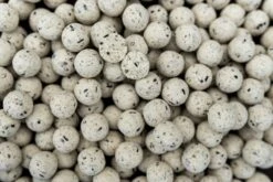 Proline Coco & Banana Boilies 5kg 7 Proline Coco & Banana Boilies 5kg -Spro Verkoop dsc00586 1