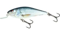Salmo Executor Shallow Runner - 5.0cm 5 Salmo Executor Shallow Runner - 5.0cm -Spro Verkoop executor qex008