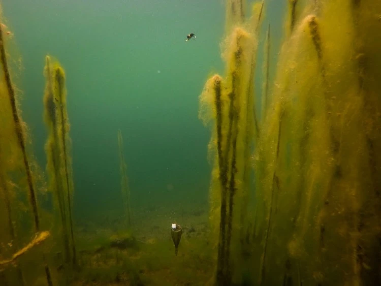 Fox Edges Zig Float Kit 5 Fox Edges Zig Float Kit - Afbeelding 5