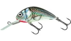 Salmo Hornet Sinking - 4.0cm -Spro Verkoop hornet qht047