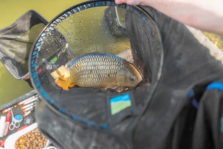 Preston Quick Dry Landing Net 20"/50cm 3 Preston Quick Dry Landing Net 20"/50cm - Afbeelding 3