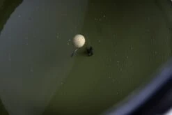 RidgeMonkey Perspective Collapsible Bucket 10 Ltr -Spro Verkoop perspectivebucket 3