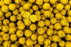 Proline Scopex Boilies 2,5kg 5 Proline Scopex Boilies 2,5kg -Spro Verkoop scopex pro line 2 2