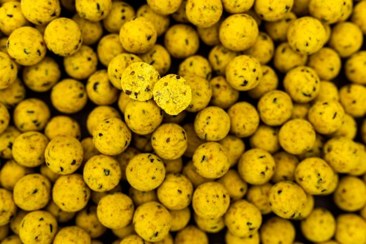 Proline Scopex Boilies 2,5kg 3 Proline Scopex Boilies 2,5kg - Afbeelding 3