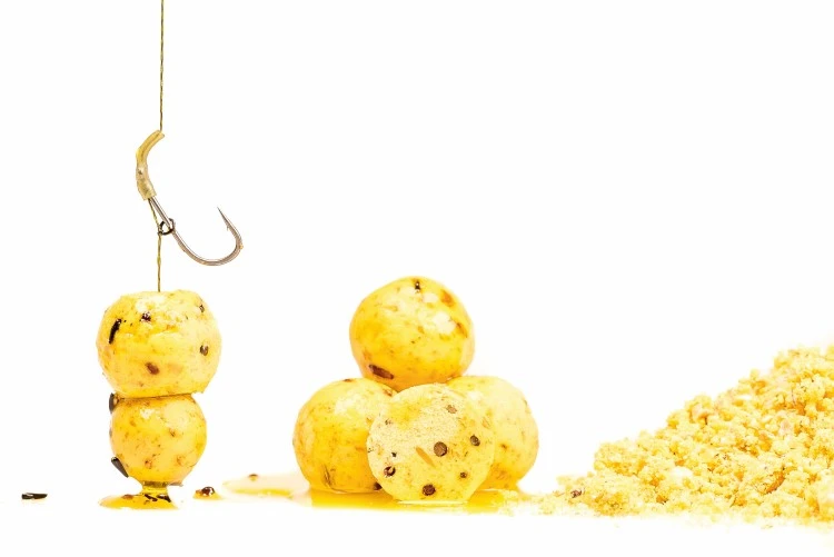 Proline Scopex Boilies 5kg 3 Proline Scopex Boilies 5kg - Afbeelding 3