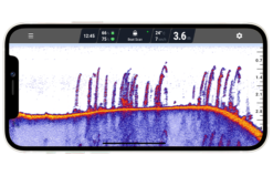 Deeper Smart Sonar CHIRP+ 2 -Spro Verkoop vegetation