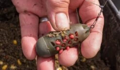 Preston Absolute Window Feeder (Caged) -Spro Verkoop window2 1